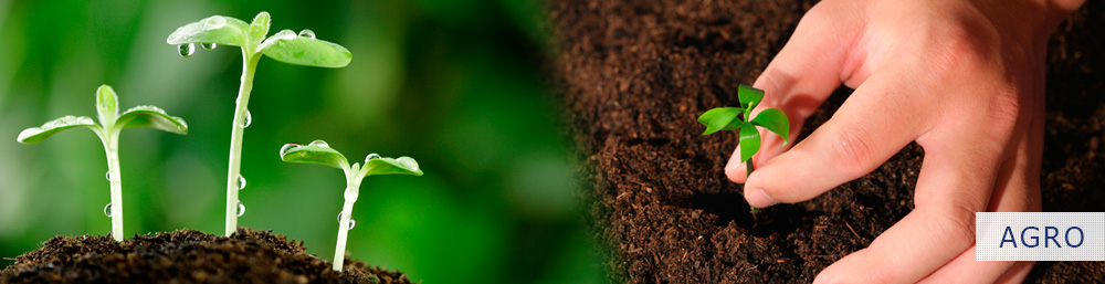agro banner